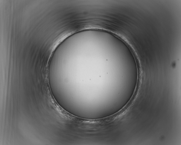 X0000116311145200912141353