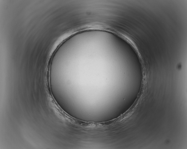 X0000116311146200912141353