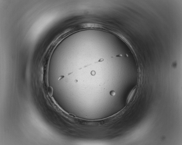 X0000116311151200912141353