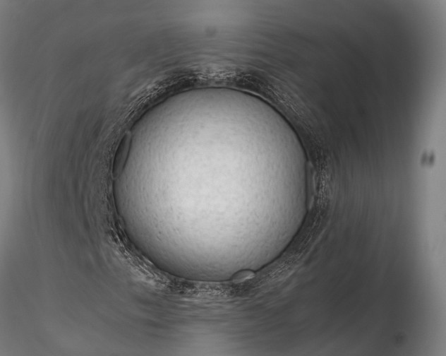 X0000116311153200912141352