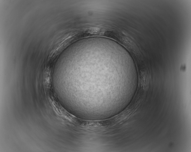 X0000116311154200912141352