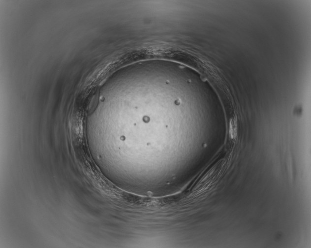 X0000116311155200912141352