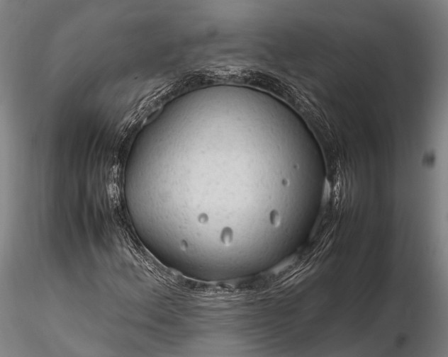 X0000116311156200912141352