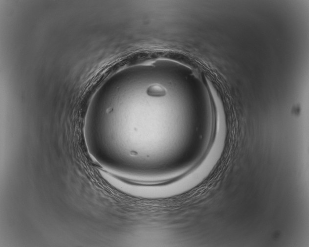 X0000116311157200912141352