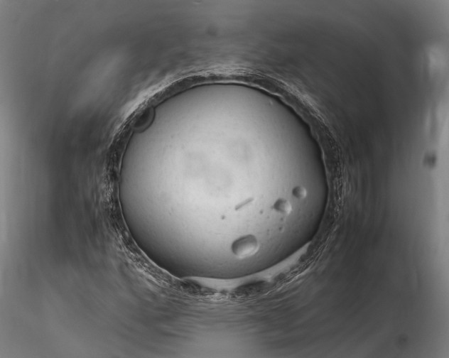 X0000116311160200912141352