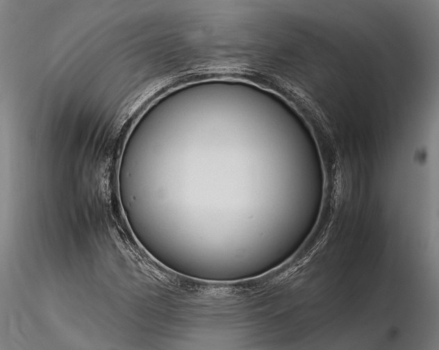 X0000116311162200912141352