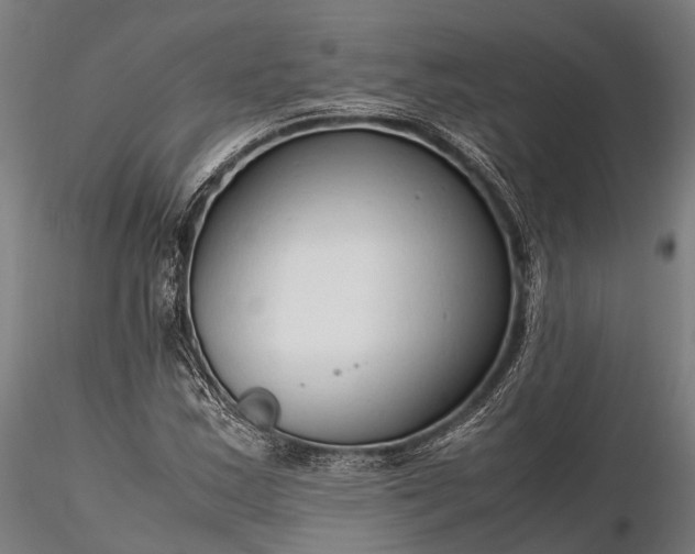 X0000116311163200912141352