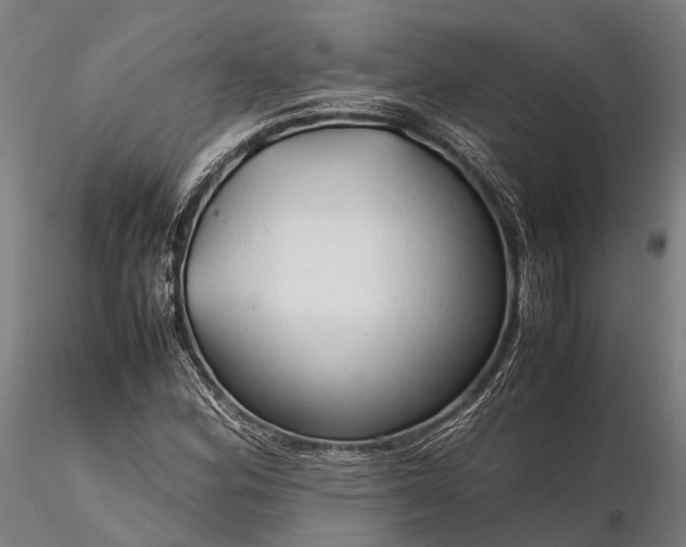 X0000116311164200912141352