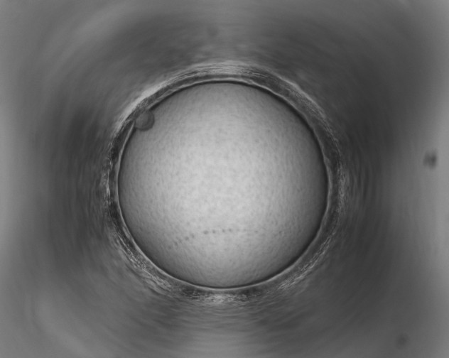 X0000116311166200912141352