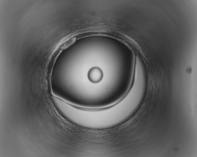 X0000116311168200912141352