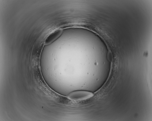 X0000116311169200912141352