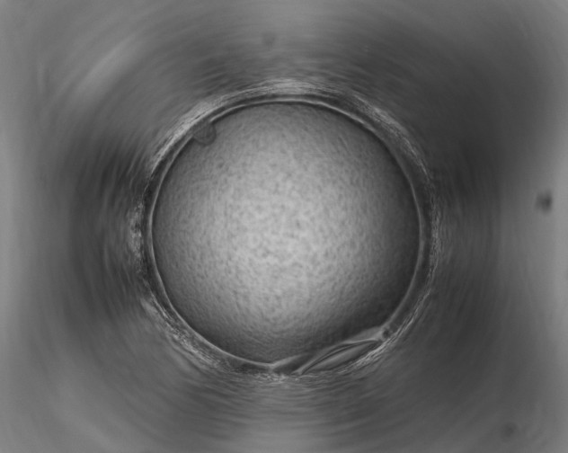 X0000116311170200912141352