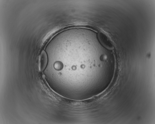 X0000116311171200912141352