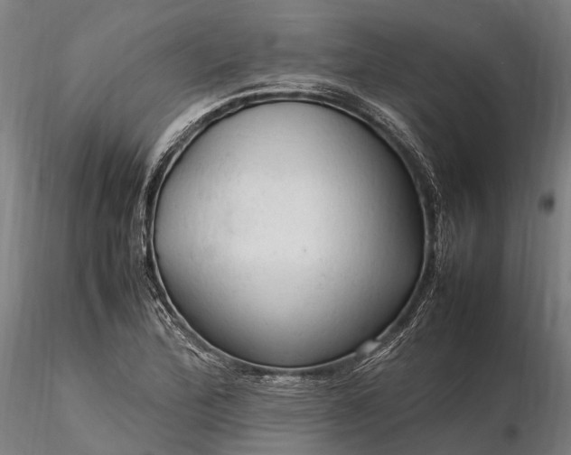 X0000116311172200912141352