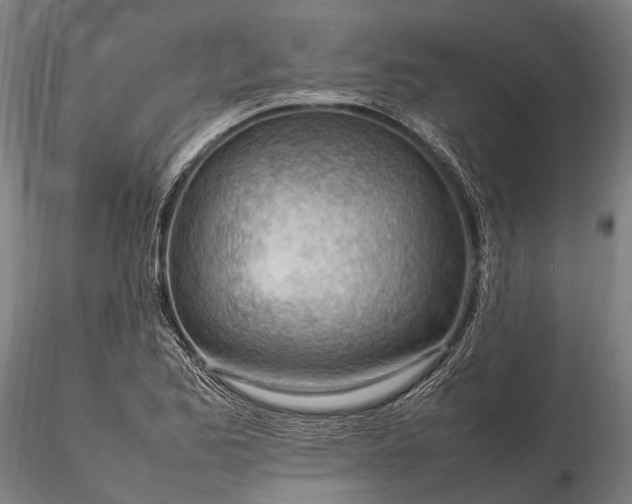 X0000116311173200912141352