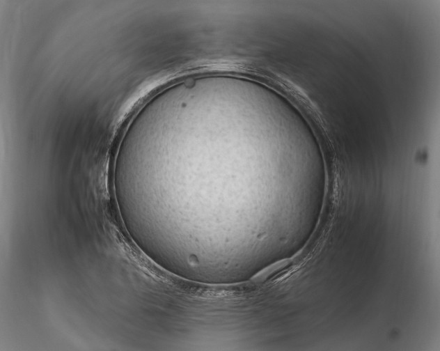 X0000116311174200912141352