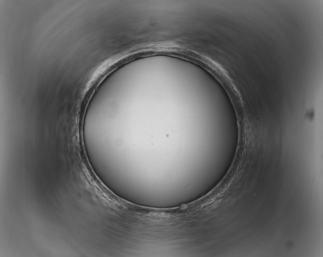 X0000116311176200912141352