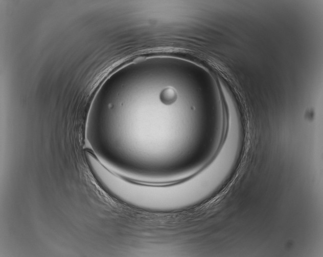 X0000116311177200912141352