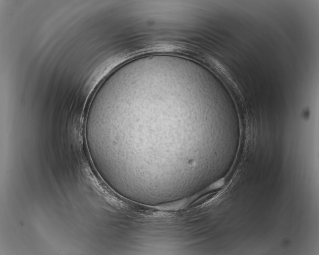 X0000116311178200912141352