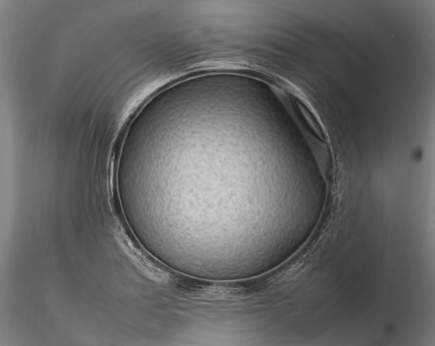 X0000116311179200912141352