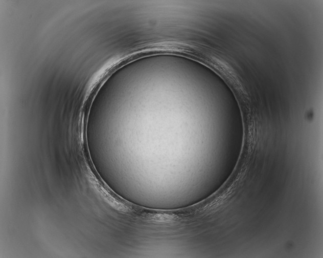 X0000116311180200912141352