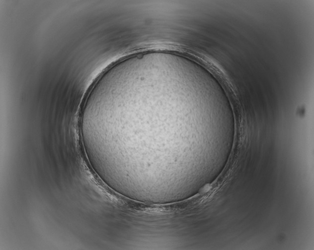 X0000116311182200912141352