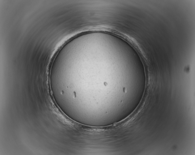 X0000116311184200912141352