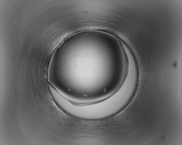 X0000116311185200912141351