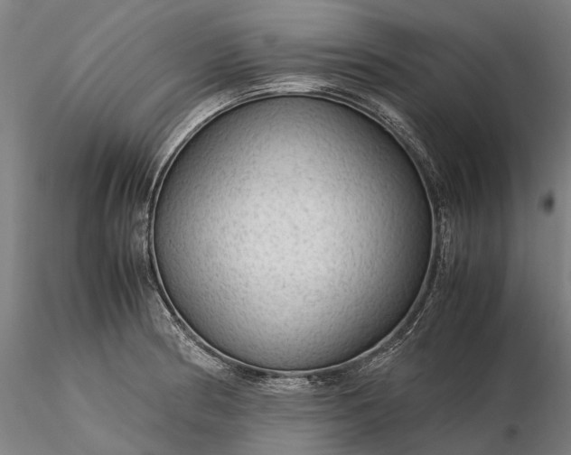 X0000116311186200912141351