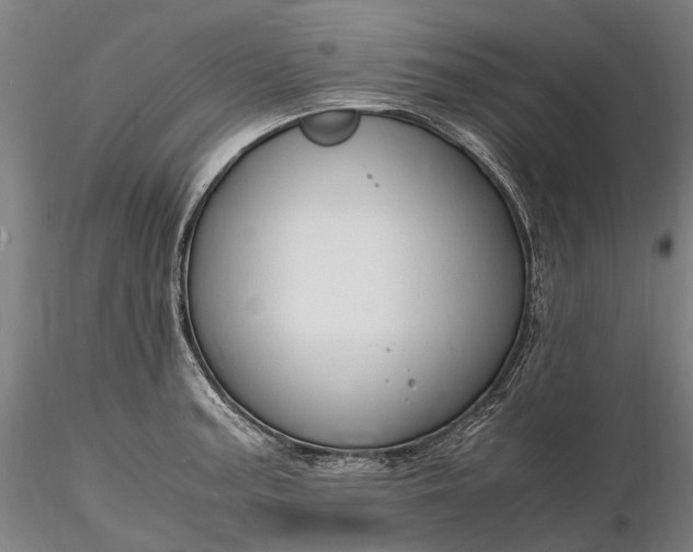 X0000116311187200912141351