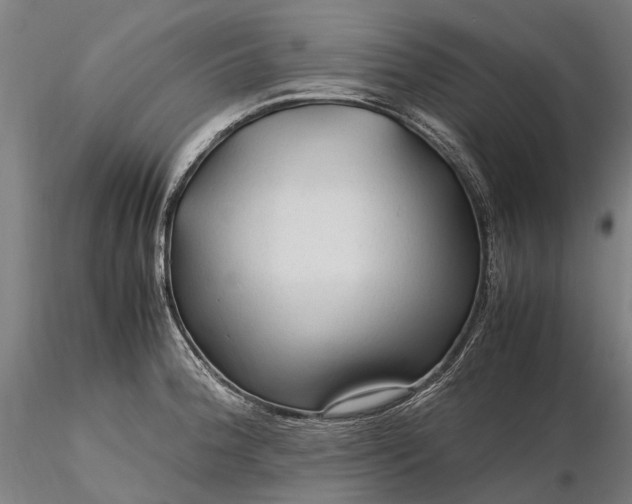 X0000116311188200912141351