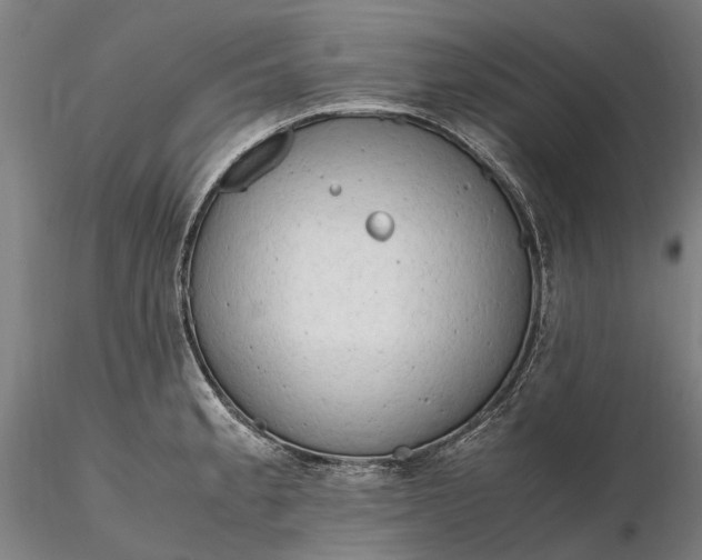 X0000116311189200912141351