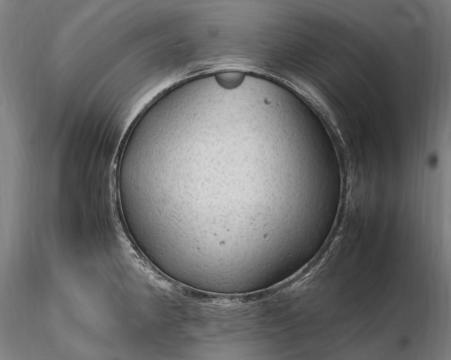 X0000116311190200912141351