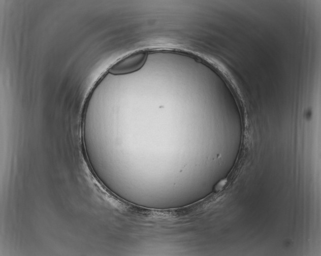 X0000116311191200912141351