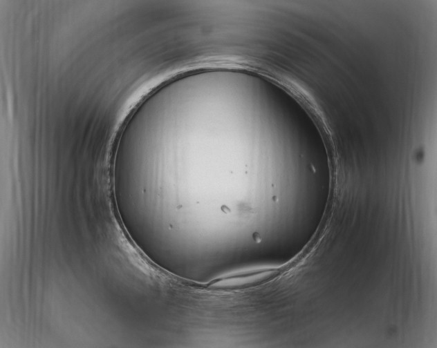 X0000116311192200912141351