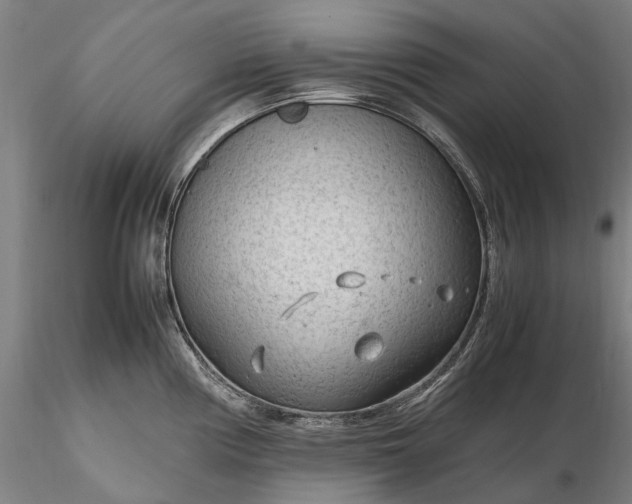 X0000116311194200912141351