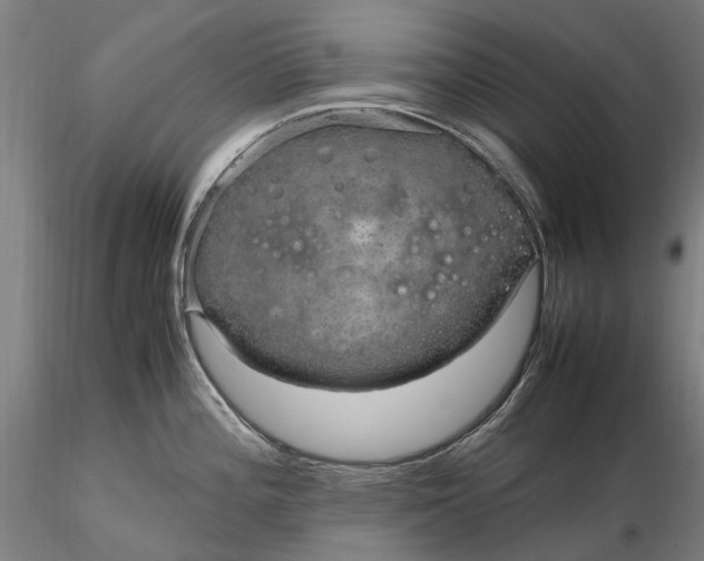 X0000116311196200912141351