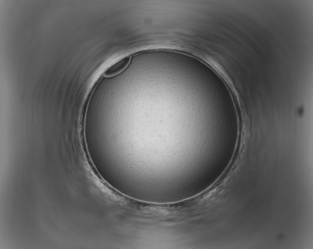 X0000116311197200912141351