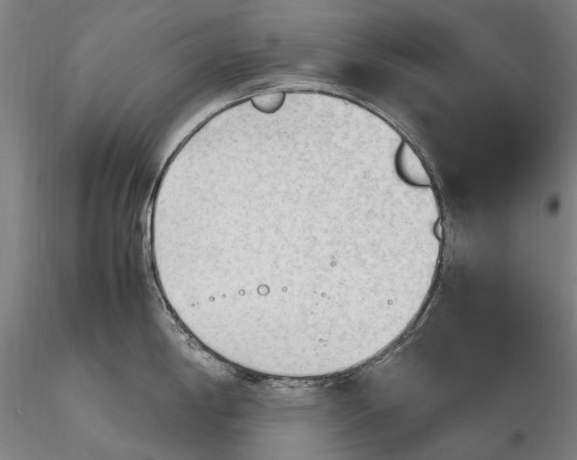 X0000116311198200912141351