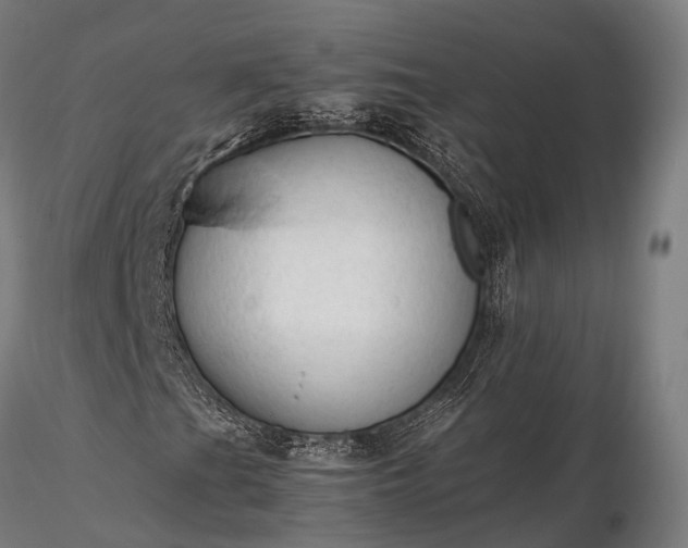 X0000116311201200912141351