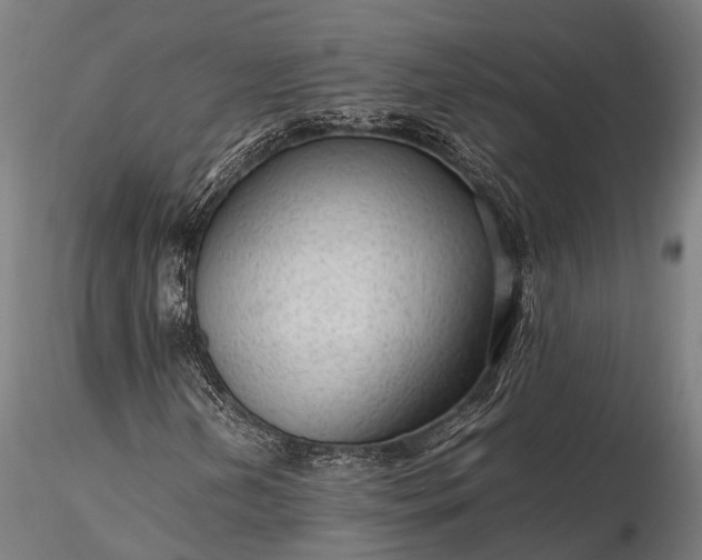 X0000116311202200912141351