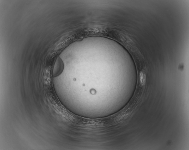 X0000116311203200912141351