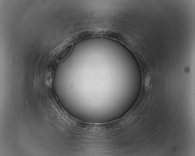 X0000116311204200912141351