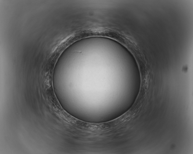 X0000116311205200912141351