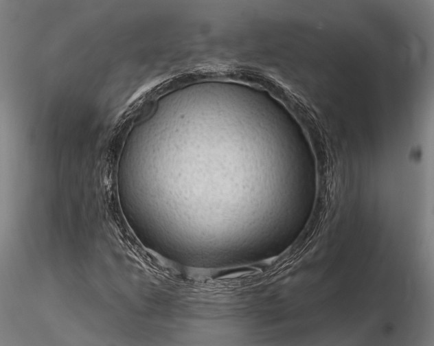 X0000116311206200912141351