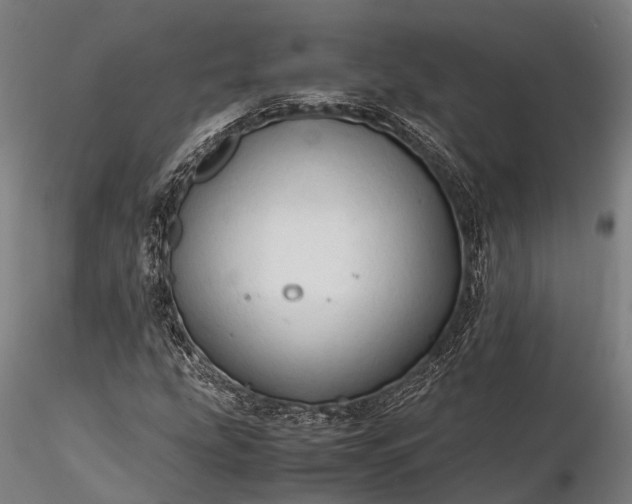 X0000116311207200912141351