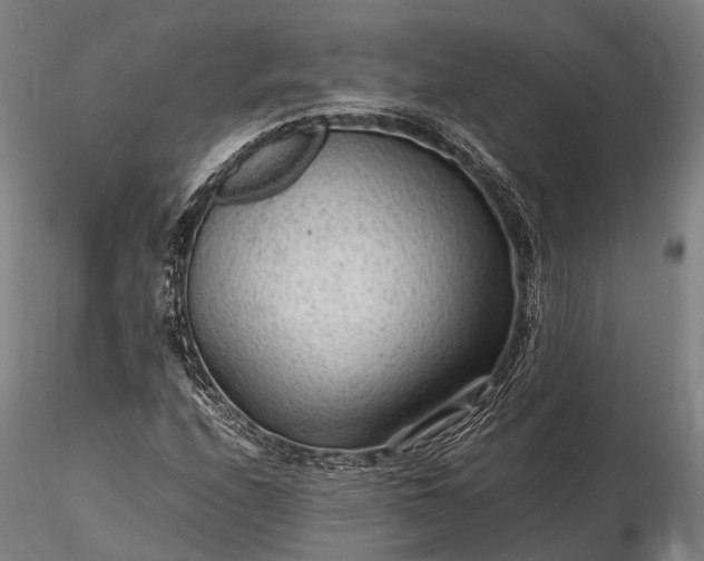 X0000116311208200912141351