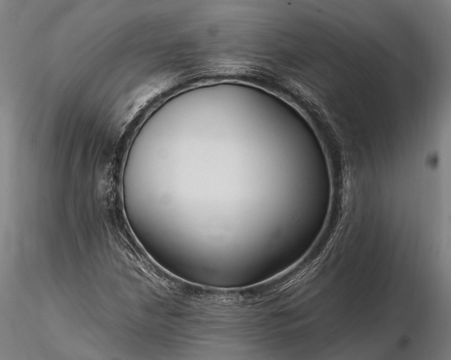 X0000116311210200912141351