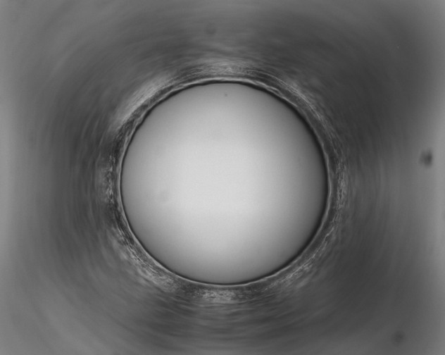 X0000116311211200912141351