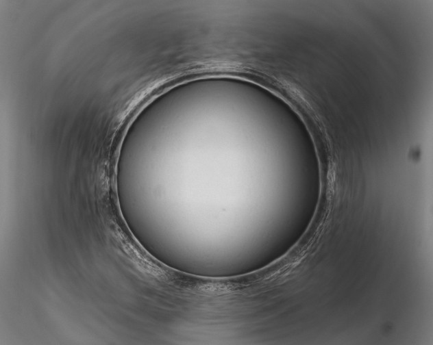 X0000116311212200912141351